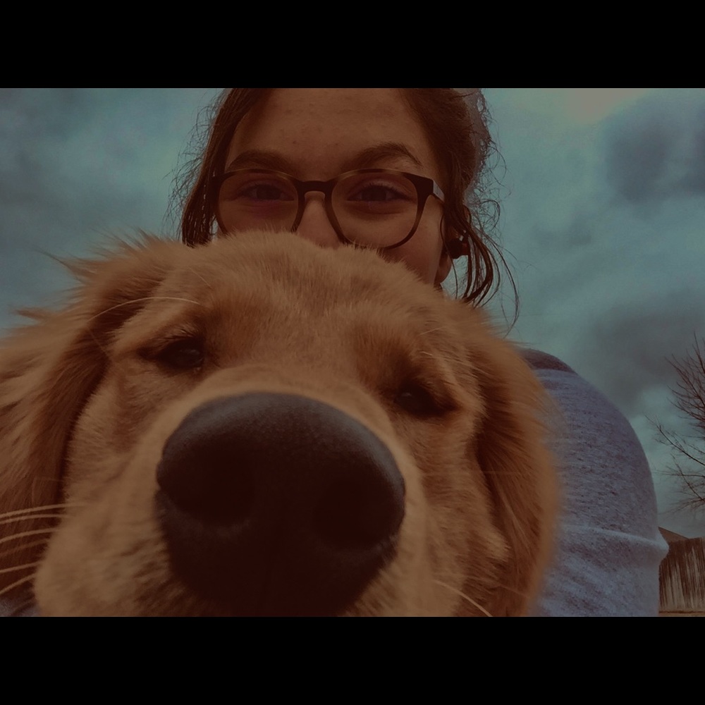 Meet your Posher, Lundy